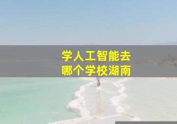 学人工智能去哪个学校湖南