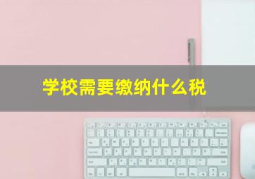 学校需要缴纳什么税