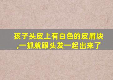 孩子头皮上有白色的皮屑块,一抓就跟头发一起出来了