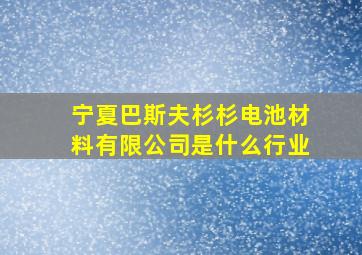 宁夏巴斯夫杉杉电池材料有限公司是什么行业