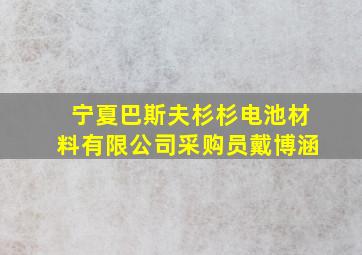 宁夏巴斯夫杉杉电池材料有限公司采购员戴博涵