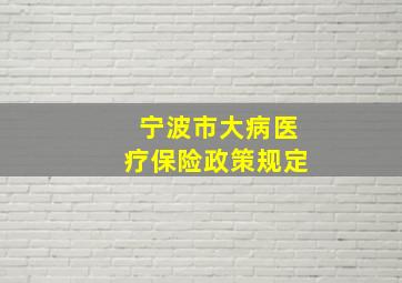 宁波市大病医疗保险政策规定