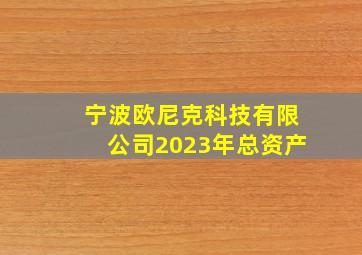 宁波欧尼克科技有限公司2023年总资产