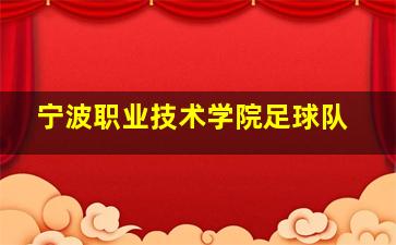 宁波职业技术学院足球队