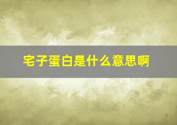 宅子蛋白是什么意思啊