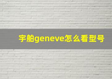 宇舶geneve怎么看型号