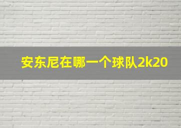 安东尼在哪一个球队2k20