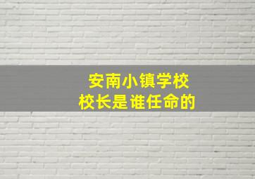 安南小镇学校校长是谁任命的