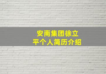 安南集团徐立平个人简历介绍