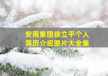 安南集团徐立平个人简历介绍图片大全集