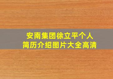 安南集团徐立平个人简历介绍图片大全高清