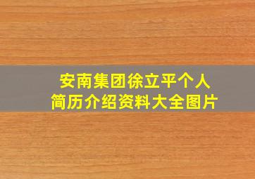 安南集团徐立平个人简历介绍资料大全图片