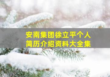 安南集团徐立平个人简历介绍资料大全集