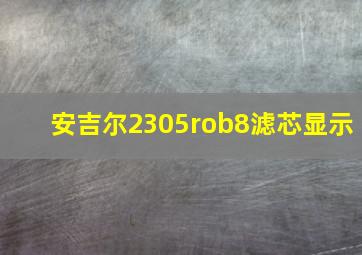 安吉尔2305rob8滤芯显示