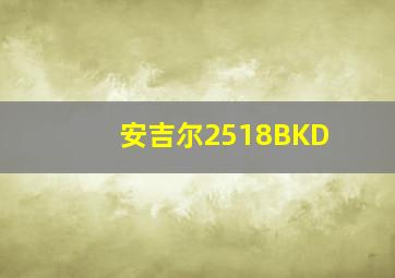 安吉尔2518BKD