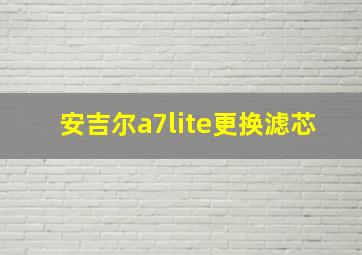 安吉尔a7lite更换滤芯