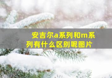 安吉尔a系列和m系列有什么区别呢图片