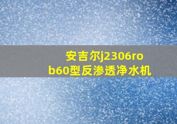 安吉尔j2306rob60型反渗透净水机