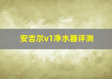 安吉尔v1净水器评测