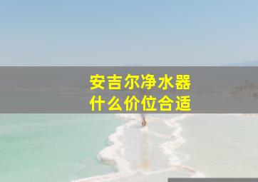 安吉尔净水器什么价位合适