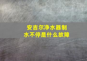 安吉尔净水器制水不停是什么故障