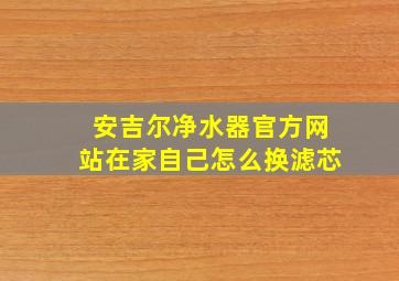 安吉尔净水器官方网站在家自己怎么换滤芯