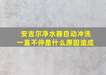 安吉尔净水器自动冲洗一直不停是什么原因造成