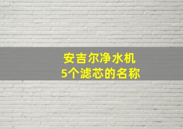 安吉尔净水机5个滤芯的名称