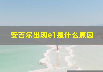 安吉尔出现e1是什么原因