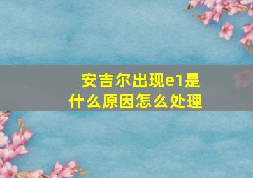 安吉尔出现e1是什么原因怎么处理