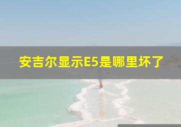 安吉尔显示E5是哪里坏了