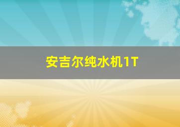 安吉尔纯水机1T