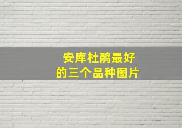 安库杜鹃最好的三个品种图片