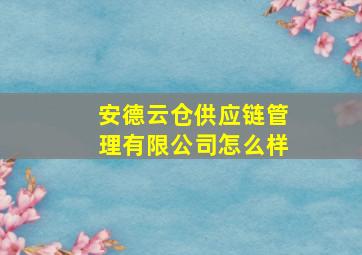 安德云仓供应链管理有限公司怎么样