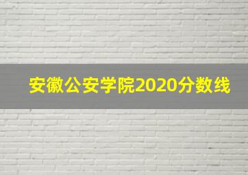 安徽公安学院2020分数线