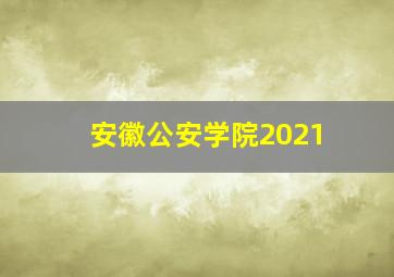 安徽公安学院2021