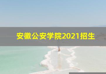 安徽公安学院2021招生