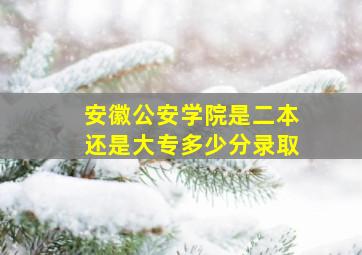 安徽公安学院是二本还是大专多少分录取