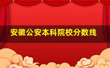 安徽公安本科院校分数线