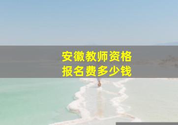 安徽教师资格报名费多少钱