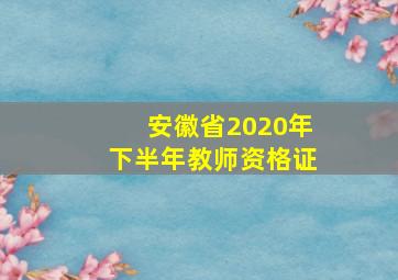 安徽省2020年下半年教师资格证