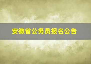 安徽省公务员报名公告