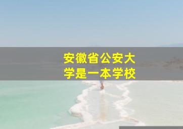 安徽省公安大学是一本学校