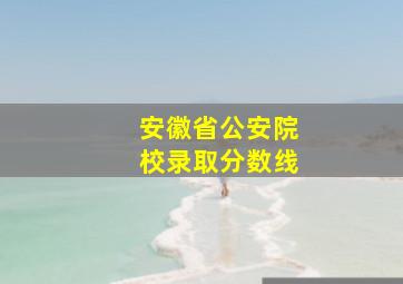 安徽省公安院校录取分数线