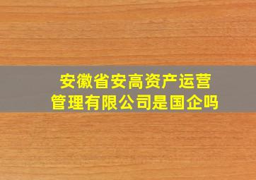 安徽省安高资产运营管理有限公司是国企吗