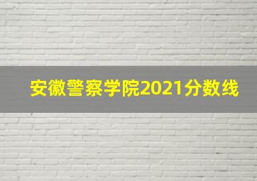 安徽警察学院2021分数线