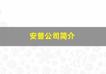 安普公司简介