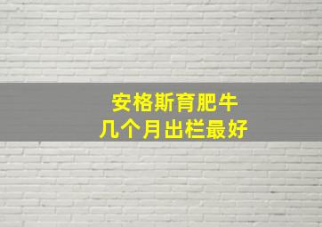 安格斯育肥牛几个月出栏最好