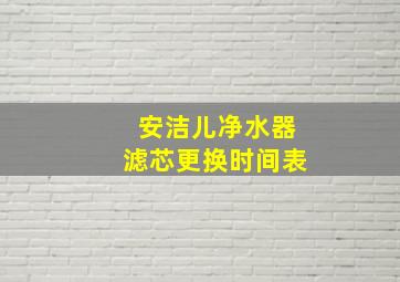 安洁儿净水器滤芯更换时间表