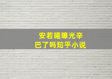 安若曦曝光辛巴了吗知乎小说